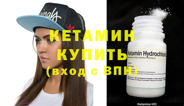 шишки Верея