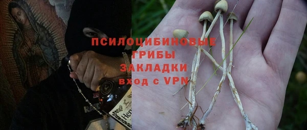 шишки Верея