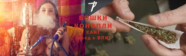 шишки Верея