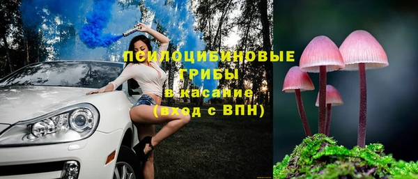 таблы Верхний Тагил