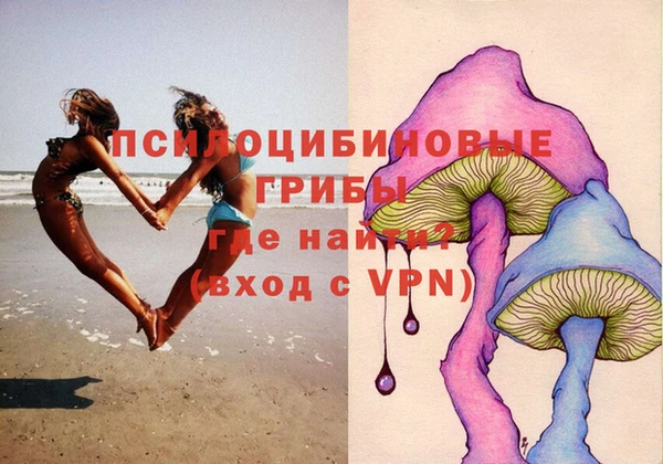 шишки Верея