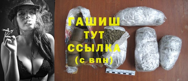 шишки Верея