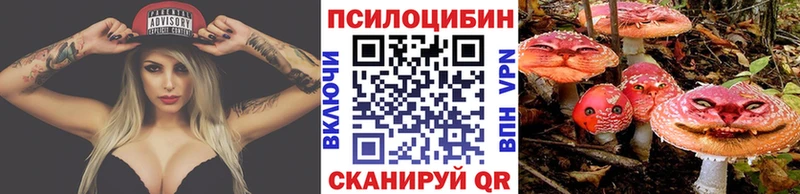 Галлюциногенные грибы Magic Shrooms  цены наркотик  Геленджик 